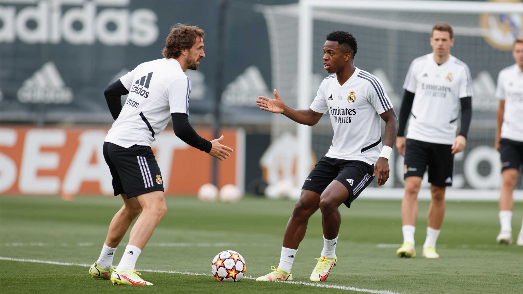 雷速体育概况简介